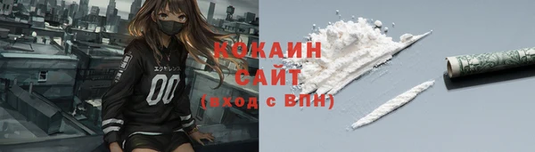 сатива Аркадак