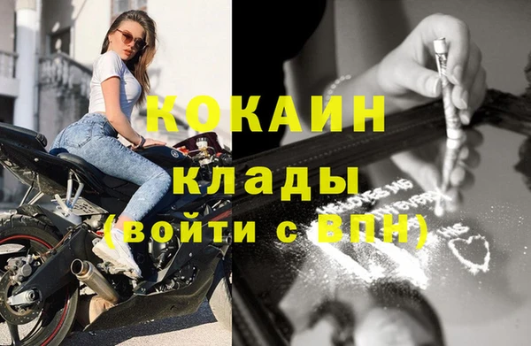 сатива Аркадак