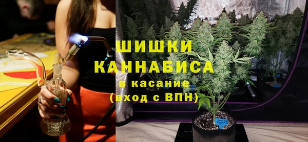 сатива Аркадак