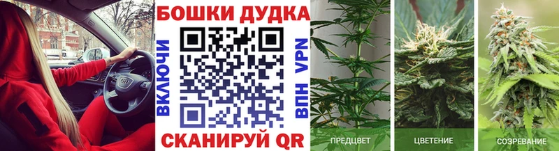 площадка какой сайт  Унеча  Марихуана SATIVA & INDICA  купить  